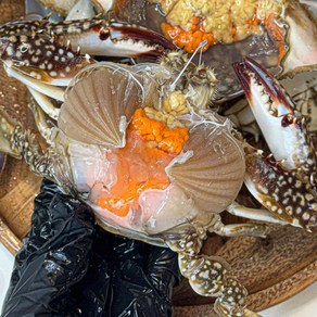 100%암꽃게 빙장 활 암꽃게 / 알수율 80%내외, 1개, 빙장활암꽃게2kg(6-10미/100%암꽃게)