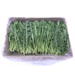 [허브온] ** 와일드 루꼴라 ** 잔류 농약 검사 통과, 1kg, 1개
