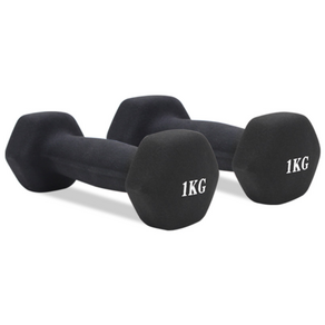 홈트러브 네오프렌 아령 세트, 1kg, 2개