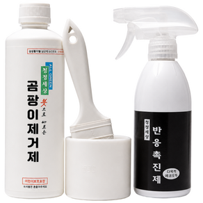 청정세상 곰팡이제거제500g(붓1)+반응촉진제 에코오투500ml1, 1개