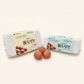 [난각번호2번] 알짜배기 동물복지 유정란 10구, 1개