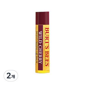 버츠비 모이스춰라이징 립밤, 와일드 체리, 4.25g, 2개