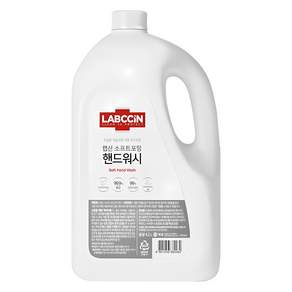 랩신 소프트 포밍 핸드워시 파우더리 허브향