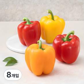 파프리카 혼합 4입