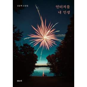 언터처블 내 인생:김동혁 소설집
