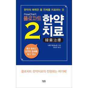 플로차트 한약치료 2