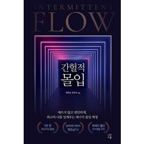 [나비스쿨]간헐적 몰입 : 애쓰지 않고 편안하게 최고의 나를 일깨우는 에너지 몰입 혁명