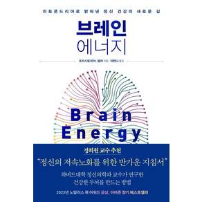 브레인 에너지:미토콘드리아로 밝혀낸 정신 건강의 새로운 길, 크리스토퍼 M. 팔머, 심심