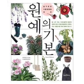 그린홈, 야자와 히데나루