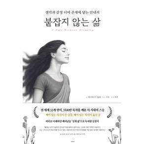 붙잡지 않는 삶 : 생각과 감정 너머 존재에 닿는 안내서