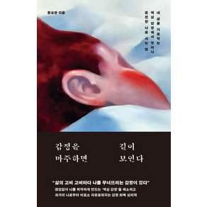 감정을 마주하면 길이 보인다: 내 삶을 가로막는 핵심 감정에서 벗어나 온전한 나로 사는 법