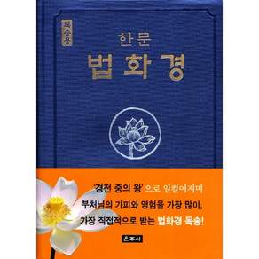 한문 법화경