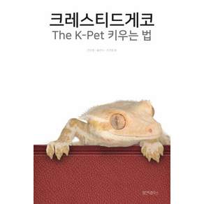 [아잔틱하우스]크레스티드게코 The K-Pet 키우는 법