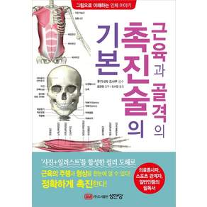 근육과 골격의 촉진술의 기본