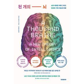 제프 호킨스, 이데아