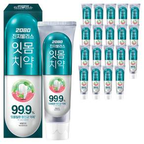 2080 진지발리스 허벌민트향 잇몸치약