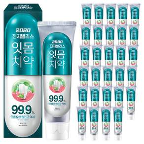 2080 진지발리스 허벌민트 잇몸치약