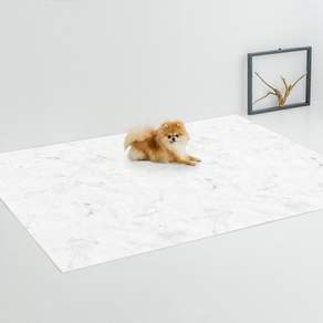디팡 강아지 고양이 미끄럼방지매트 2p