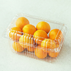 곰곰 당도선별 10brix 한입 감귤, 800g, 1팩