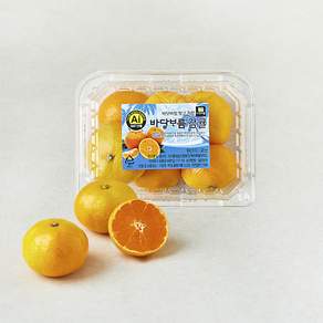 바당바름 10brix 감귤, 1개, 500g(로열과)