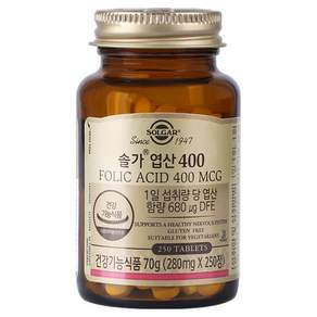솔가 엽산 400