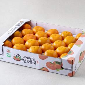 황소고을 청도 반시