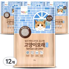탐사 응고형 고양이 모래
