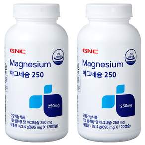 GNC 마그네슘 250