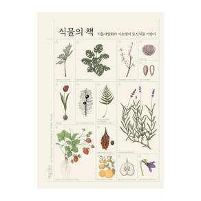 식물의 책: 식물세밀화가 이소영의 도시식물 이야기
