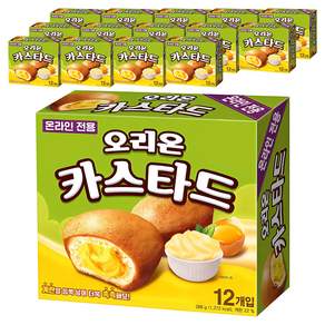오리온 카스타드 12개입