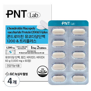 피엔티 GC녹십자웰빙 콘드로이친 뮤코다당단백 1200 트리플러스 60g