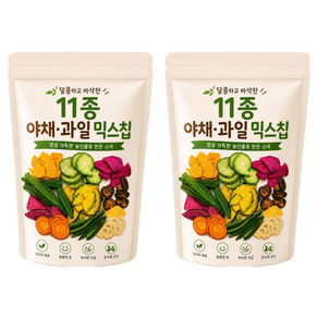 달콤하고 바삭한 11종 야채 과일 믹스칩