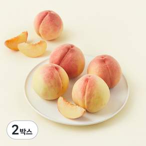 농협 유명산지 당도선별 부드러운 백도복숭아