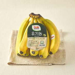 돌 유기농 인증 바나나