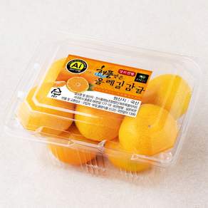 올레길 AI 당도선별 11brix 감귤, 500g(로열과), 1개