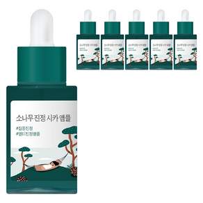라운드랩 소나무 진정 시카 앰플