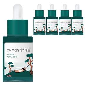 라운드랩 소나무 진정 시카 앰플