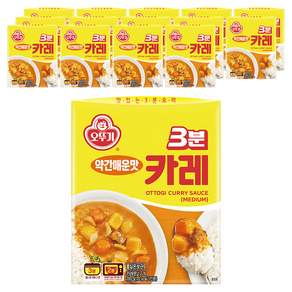 오뚜기3분 카레 약간매운맛