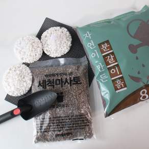 모리앤 실속만점 분갈이 풀세트
