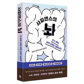 사피엔스의 뇌
