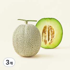 머스크 메론