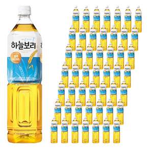 하늘보리