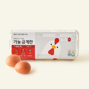 가농 매일 만나는 1+등급 금계란 XL