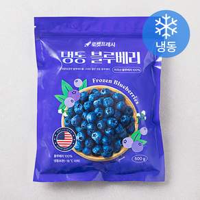 냉동 블루베리