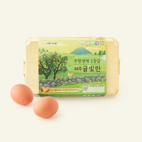 애월아빠들 무항생제 인증 1등급 제주 귤빛란 900g
