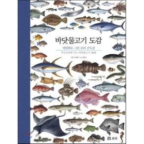 바닷물고기 도감 양장형