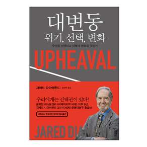 대변동 : 위기 선택 변화