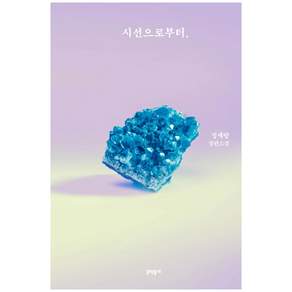 시선으로부터