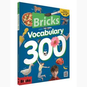 Bricks Vocabulary 300