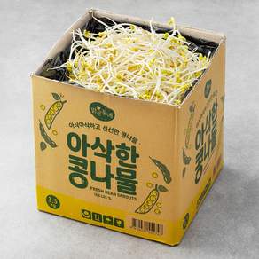 맑은물에 아삭한 콩나물